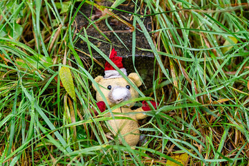 kleiner Teddy mit Weihnachtsmütze vor einem Grabstein im Gras auf dem Highgate Cemetery in London...