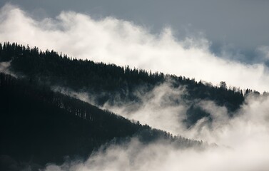 Dramatic cloudy sky above a mountain range covered in forests