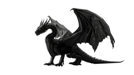 Black dragon