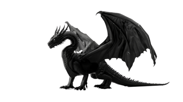 Black dragon