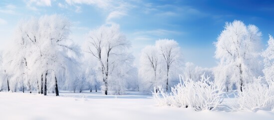 Snowy landscape with trees under blue sky