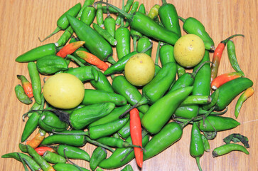 Fresh herbs food background with copy space background.
