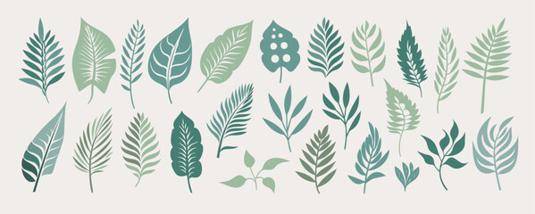 Tropical leaves collection. Green Vector isolated elements on the white background.
