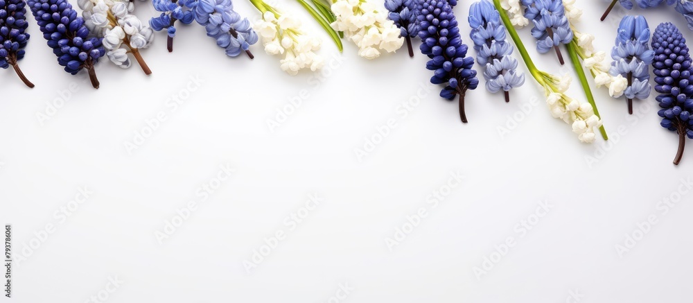 Canvas Prints Various flowers displayed on a plain white surface