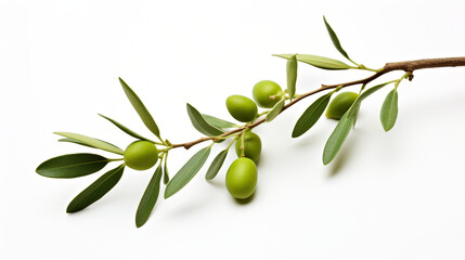 olive branch on white background, center image is blank сreated with Generative Ai