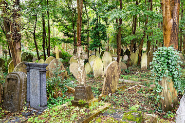 Viele alte Grabsteine inmitten vieler Bäume auf dem Highgate Cemetery in London Camden