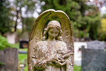 schöner Engel mit einem Zweig auf dem Highgate Cemetery in London Camden