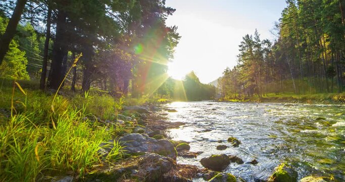 4K mountain river timelapse at the summer or autumn time. Wild nature, clear water and rural evergreen valley. Sun rays, small creek and yellow grass. Motorised dolly slider movement