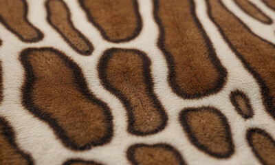 A pattern skin, with brown spots of varying shapes and sizes outlined by white lines, creating a distinct separation. The texture animal fur.