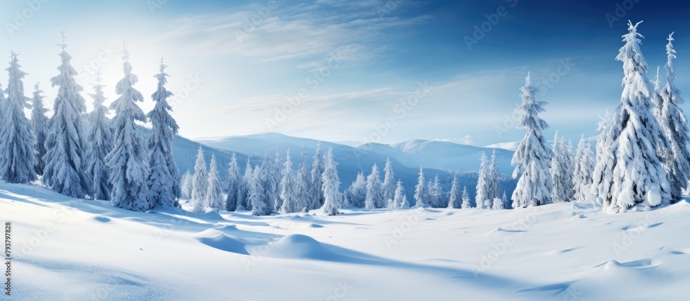 Poster sunlight filters through clouds on snowy mountain trees