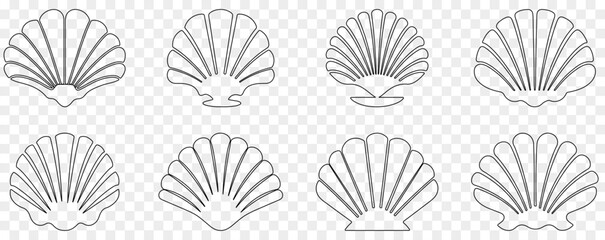 Set of seashell outline icons. Vector illustration isolated on transparent background
