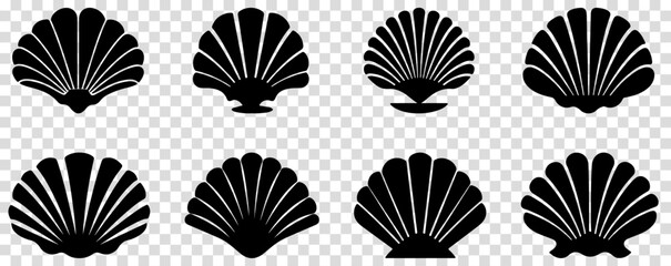 Set of shell icons. Vector illustration isolated on transparent background - obrazy, fototapety, plakaty