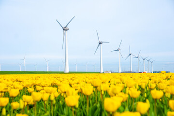 windmill park with tulip flowers in Spring, windmill turbines Netherlands Europe