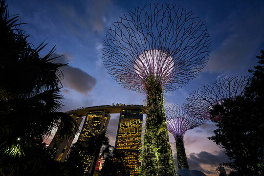 Avatar supertree in the Gardens by the Bay, Singapore