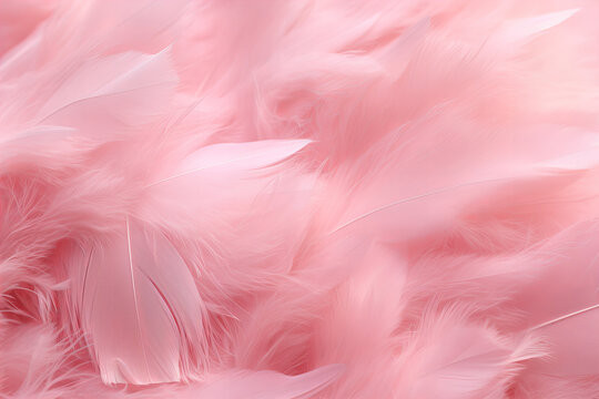 Pink feathers close up on bright background, top view with copy space, beautiful and very light airy pink image