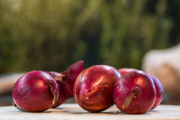 Red Onion as an vegetarian ingredient for my famous recipe 
