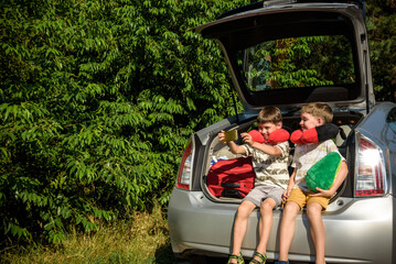 Two adorable little kids boy sitting in car trunk just before leaving for summer vacation. Sibling...