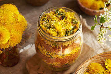 Preparation of dandelion syrup from fresh yellow blossoms and cane sugar in a glass jar