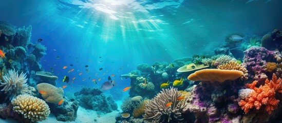 Fish swimming in vibrant coral reef with sunlight filtering through water