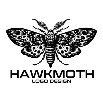 Hawkmoth Vector Logo Design