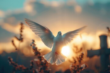 The dawn illuminates a flying dove, a poignant symbol of the Holy Spirit and faith