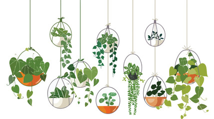Geometric Standing and hanging terrarium with potted