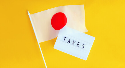 Tax system in Japan. Income calculating. Financial analytics. 