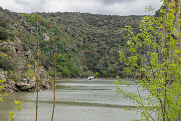 Arribes do Douro, landscape near Miranda do Douro, Portugal