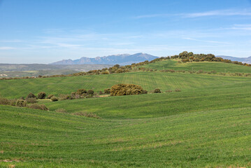 green fields with Madrid mountain range in the background