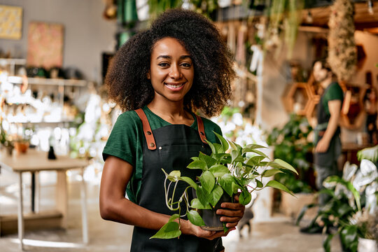 Floristic concept. Portrait of afro young woman in apron standing at modern flower store and holding pot with green domestic flower. Female plant lover transforming favorite hobby into small business.