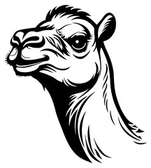 camel head silhouette without background