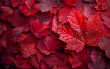 Group of red leaves. Generative AI