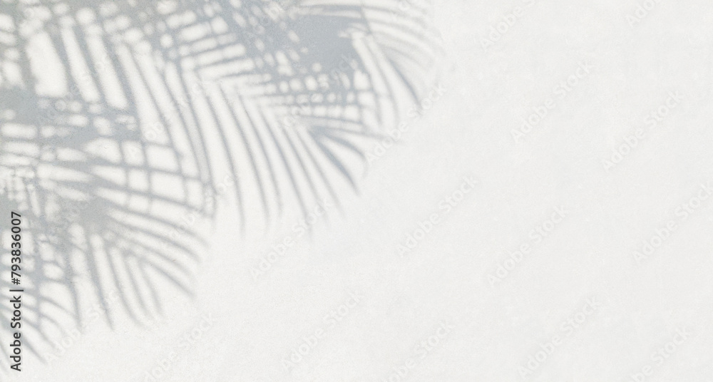 Aufkleber Grey shadow of natural palm leaf and tree abstract background falling on white wall texture for background and wallpaper. Tropical palm leaves foliage shadow overlay effect, foliage mockup and design