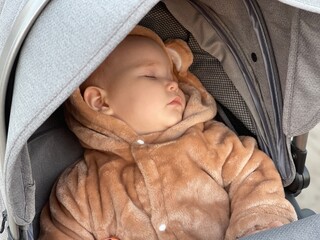 Serene Infant Resting Peacefully in a Cozy Stroller During a Quiet Afternoon Outdoors
