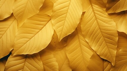 Close up autumn yellow leaves pattern texture background. Natural backdrop wallpaper.