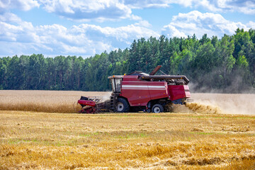 A red combine harvester is driving through a field of wheat