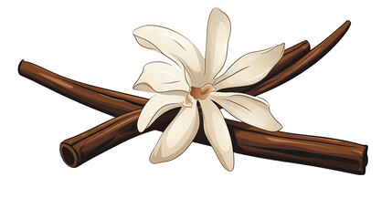 Vanilla Orchid Flower - white petals contrasting with rich brown stem, transparent 