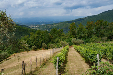 Fototapeta na wymiar Mountain landscape near Fivizzano, Tuscany, Italy