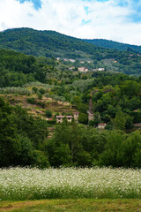 Fototapeta na wymiar Mountain landscape in Lunigiana near Fivizzano and Licciana Nardi, Tuscany, Italy