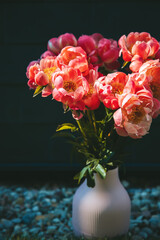 Vibrant pink peonies with lush petals standing in a pink vase, bathed in natural sunlight