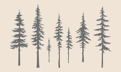 Narrow Pine Tree Silhouettes: Hand-Drawn Vector Illustrations with Intricate Detail.