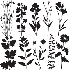 flowers collection silhouette vector 