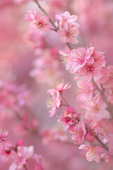 Obraz premium **beautiful blossom tree, detail, tree with pink flowers, close up, natural light, bokeh style