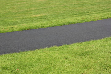 grass on the road