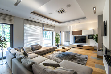 An energy-efficient air conditioner with fresh natural in a modern living room.