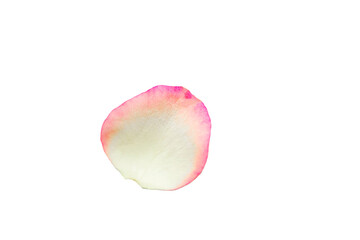 White rose petal isolated on white