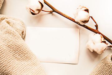 Cotton branch and card with text Stay Home on white background. Quarantine concept