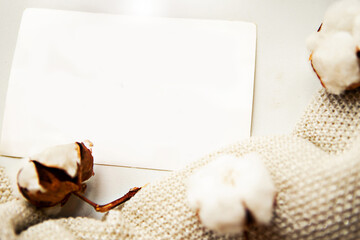 Cotton branch and card with text Stay Home on white background. Quarantine concept.