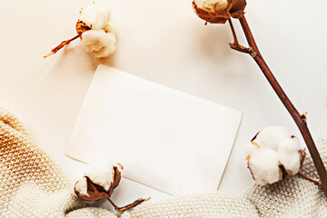 Cotton branch and card with text Stay Home on white background. Quarantine concept.