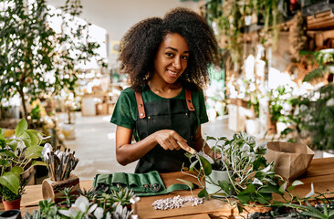 Combination of work and hobby. Smiling black woman repotting green flower at flower store using gardening tools, ground and drainage. Qualified gardener taking care of lush plants at modern boutique. - obrazy, fototapety, plakaty